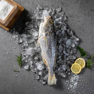 [속초반건조생선]반건조 부세 조기(960g,20cm이상,8미)