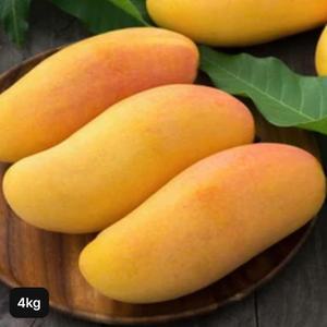 항공직송 프리미엄 태국 마하차녹 생 골드망고 4kg (8~12과)