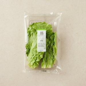 생채 (100g)