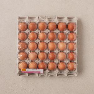 알찬란 30개입 (대란,1560g)