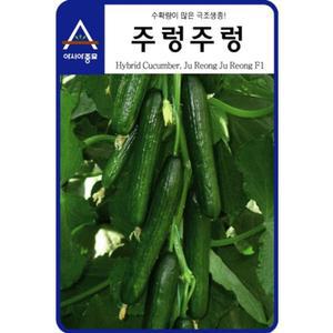 오이씨앗 다수확 주렁주렁 10립 오이종자 씨앗 종자 오이 종묘 모종