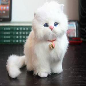 진짜같은 고양이 모형 리얼고양이 인형 시뮬레이션 실내 인테리어 소품 여자친구 선물