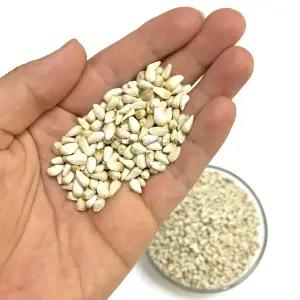 세척 볶음 홍화씨 500g 앵무새 먹이 모이 간식 개별 알곡