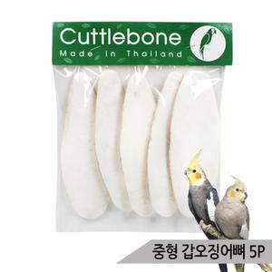 천연 갑오징어뼈 중형 5P 앵무새간식 칼슘 부리강화