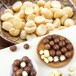 껍질 마카다미아 1kg 통마카다미아 견과류 아몬드 호두 피칸 캐슈넛 피스타치오 분태 분말 해바라기씨 잣