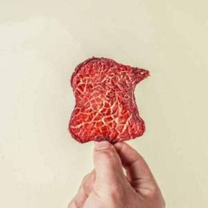 [카니비비안] 목초우 소고기칩 일반 100g