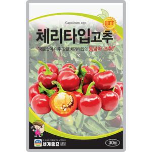 산들마켓 체리타입 고추씨앗 30립 매운맛이 아주 강하고 역병 CMV 저항성 조생종 고추씨 종자