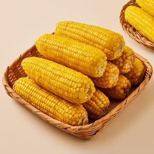 삶은 냉동 맛있는 찰옥수수 30개입