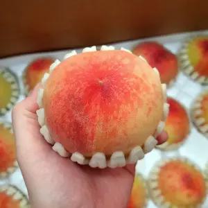 조치원 복숭아 3kg 8-14과 중대과 말랑이 백도 복숭아 물복 숭아 말랑복숭아 물렁복숭아 쫀득복숭아