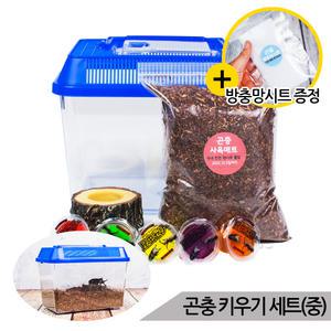 곤충 키우기 세트(중) 장수풍뎅이 사슴벌레 채집통