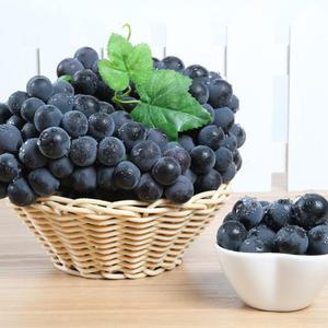 여름 포도(캠벨) 2kg 특품