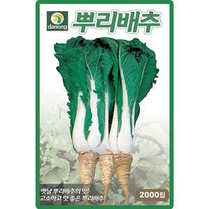 다농 뿌리배추 씨앗 2000립 토종 뿌리배추씨 종자
