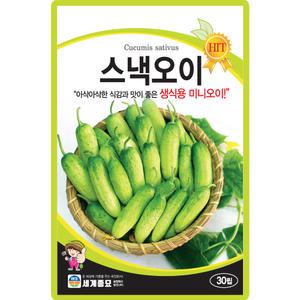 세계종묘 스낵오이 씨앗 30립 생식용 미니오이씨 종자