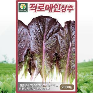 다농 적로메인상추 씨앗 2000립 레드로메인 상추씨 쌈채소 종자