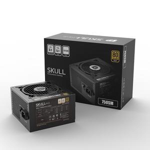 :NEWZEN SKULL 750SM 모듈러 ATX3.1 80PLUS 골드 파워서플라이