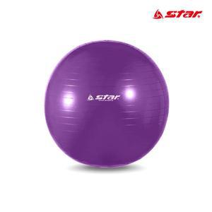 [KGPQSO1N_4B]65cm 보라 스트레칭 피트 짐볼