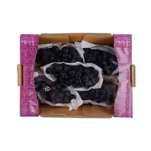 춘향골 캠벨포도 1.5kg 박스