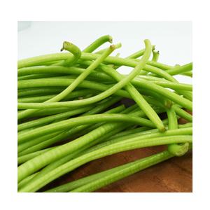 국산 생 고구마순 생 고구마 줄기 줄거리 청대 1kg 2kg
