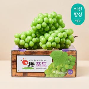 [품질보장] 달콤트리 향기 가득한 샤인머스켓 2kg (3송이)