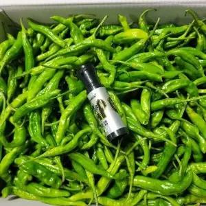 꽈리고추 1kg 발품장터