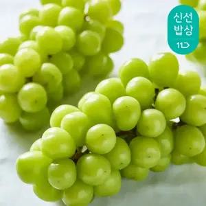 [산지발송] 2025년 일등출하 