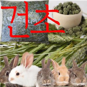 티모시1kg 3+1서비스 기니피그 토끼사료 알파파 알팔파 간식 이갈이 1번초