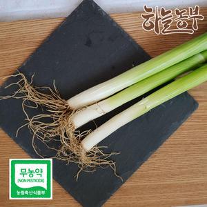 하늘농부 친환경 대파 300g