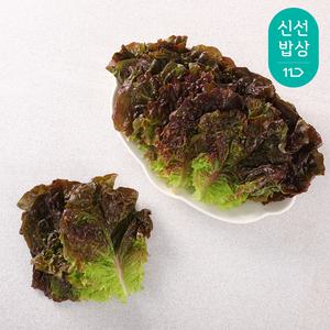 [품질보장] GAP인증 적상추 1kg / 만인산농협