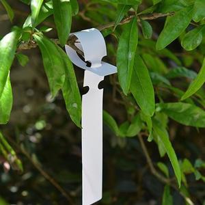 리본 나무 이름표 200p/식물/스티커/화분/만들기/꽂이/다육이/텃밭/꽃/픽/화초/라벨/팻말/모종/수목/네임텍