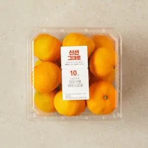하우스 감귤 1kg 팩