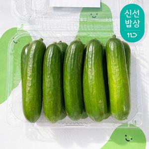 [품질보장] 충남 보령 미니오이 3kg 1.5kgx2팩 40개 내외