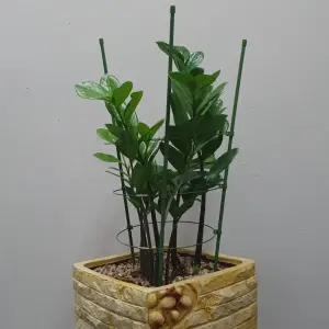 원형 화분 식물 지지대 60cm/꽃/농사/다용도/고정/텃밭/농업/방울토마토/몬스테라/가든/생활/인테리어/원예