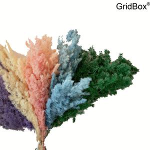 졸업식꽃다발 GirdBox 영생포래송 눈송작약 드라이플라워 웨딩스타일 교회결혼식장식