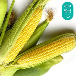 [품질보장] 단맛부터 식감까지 살아있는 고흥 초당옥수수 20개입/가정용