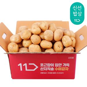 [품질보장] 25년산 햇 감자 대 5kg