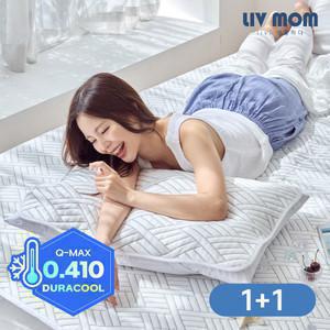 [1+1] 매일 바꿔쓰는 듀라쿨 냉감베개커버
