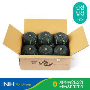 [제주농협] 제주 미니단호박 3kg 5kg 7kg 특품 농협선별