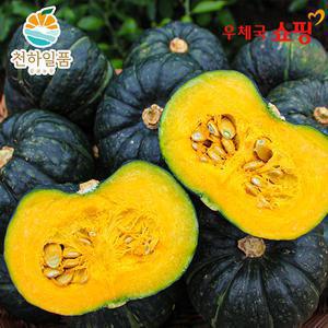 [우체국쇼핑][2025첫수확] 천하일품 제주 미니 (밤)단호박 2kg/3kg