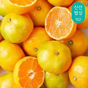 [품질보장] 깨비농원 제주 하우스감귤 2kg 중과,소과,로얄과