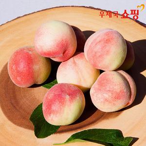 [우체국쇼핑] 올댓 품질보장 아삭아삭 반납작 대극천복숭아 1kg/2kg