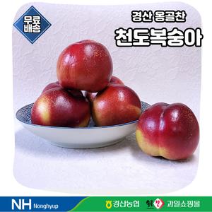 경산농협 천도복숭아 2Kg 상자