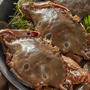 연평도 살 꽉찬 간장게장 2kg 양념게장 암꽃게 가성비 삼점꽃게 순살꽃게