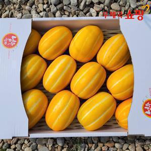 [우체국쇼핑] [성주참외 한아름] 벌꿀성주참외 5kg