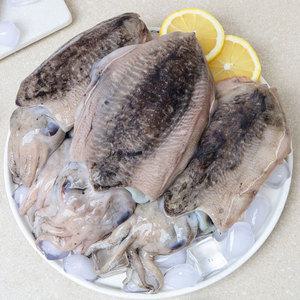 국내산 생물 갑오징어 1kg(2~3미)