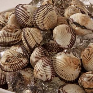 당일작업 벌교 새꼬막 1kg (100미 내외)