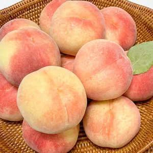 고당도 대극천 복숭아 납작복숭아 1kg 2kg