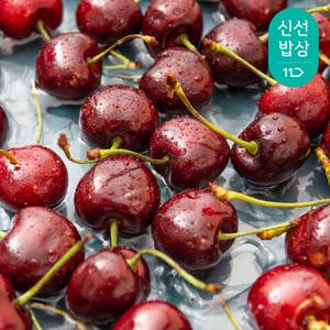 [품질보장]프리미엄 고당도 생 체리 빙체리 9-9.5R 로얄과 500g 1kg 2kg