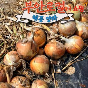[우체국쇼핑][부안로컬푸드] 해풍맞은 햇양파(중대혼합) 3kg