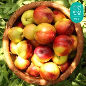 농협과일 영천 금호농협 천도복숭아 3kg (27~32과)
