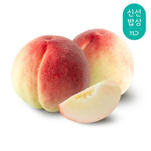 [품질보장] 경북 딱딱이 복숭아 2kg 13-15과내외 / 달콤하고 아삭한 딱딱이 복숭아
